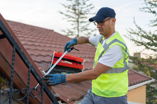 Best Attic Insulation Installation  in Lake Placid, FL